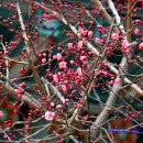 통도사IC(부산)
