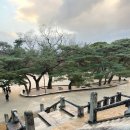 걷다보니 | 경주 불국사 방문 후기｜천년 고도의 시간을 걷다