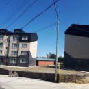 발트하임 이미지