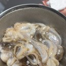 연안쭈꾸미 | 인천 연안부두어시장 알쭈꾸미 가격 및 후기 f.민영활어공장 지느러미 회, 알쭈꾸미샤브 손질법 (26...