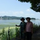 느티나무식당 이미지