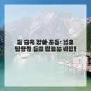 내몸살리는필라테스 이미지