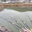 백학지 옆 | 백학지 : 마릿수조과 확인