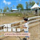 씨유(CU) 가평유명로점 | 가평 양떼목장 아이와 가볼만한곳 ! 먹이주기 체험부터 인생샷까지