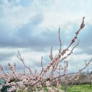 수야농장 이미지