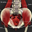 한맥한의원 이미지