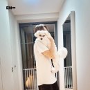 정원Eng