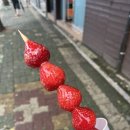 탕세권 사는 여자의 대연동 탕후루 도전기