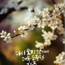 정병공인중개사사무소 이미지