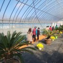 회산백련지 이미지