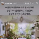 연본주유소 네이버블로그