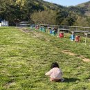 육일목장 이미지