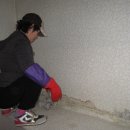 괴정3동-2 이미지