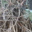 우슬농장 이미지