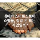 쇼핑몰(네이버스마트스토어) | 네이버 스마트스토어 쇼핑몰, 정말 돈 되는 사업일까?