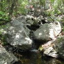 대구은행 황제지점 앞 이미지