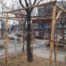 창평본가 이미지