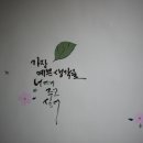 송촌동행정복지센터 티스토리