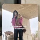 참좋은애견 | 김포 대형 카페 베이커리 맛집 카페풍무 애견동반 가능 치아바타 데니쉬 후기