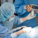 길음동물병원 이미지