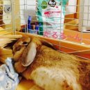 주식회사 든든케어 이미지