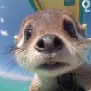 대화2호 이미지