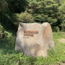 내성천1길 이미지