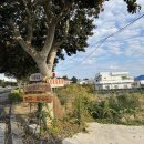 위미초등학교 | [제주여행]제주 크리스마스 서귀포카페 추천 가마솥 제주 딸기빙수맛집 무량제주