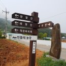 태청산농장 Daum카페