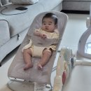 🌟육아꿀템🌟베이비뵨바운서 일본 아마존 직구 15만원대 구매 후기