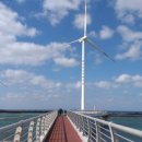 신창싱계물 이미지