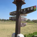 일월오성 이미지