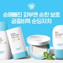 궁중 이미지