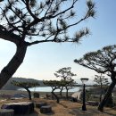 미락다방 이미지