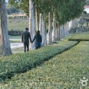 (주)베니키아호텔제주 이미지