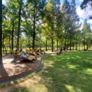 송도 해돋이공원 이미지