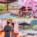 요코 | 하롱베이 투어 추천 당일 여행코스 요코온센 온천 후기