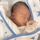 동창약국 | 다이어트 주사 맞아본 후기 위고비 가격·울산 대전위고비 비교 정리