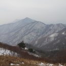 원적산 정상 이미지