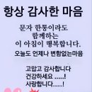 미소미소