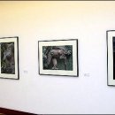 대림게임장 이미지