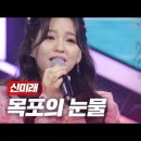 신미래 - 목포의 눈물 이미지