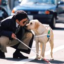 사랑이 꽃피는 약국 이미지