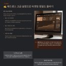 [개포2] 실전 부동산 경매 투자비법 | 애드센스 타겟 광고 노출, 수익 3배 올리는 비법은? 🎯