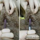 온누리동물약국 이미지