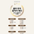 셀라뮤직음악학원 이미지