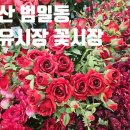 자유시장 | 5월 가정의달 어버이날 선물 준비하러 범일동 자유시장 꽃시장 방문후기 ㅣ주차정보
