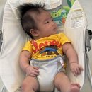 정씨고찌 | [추석연휴일상] 2025. 10. 9. ~ 12.