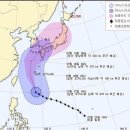 이래 이미지