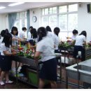 연일중학교 이미지